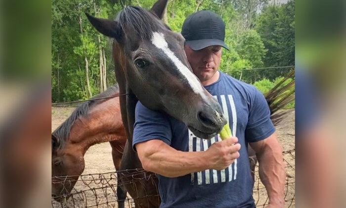 Texas Policeman Spots 2 Hungry Horses on Hurricane-Devastated Property, Decides to Step In