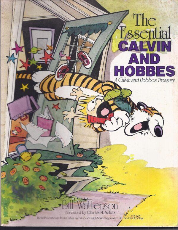Calvin in Bill Watterson's cartoons, like Tom Sawyer, can most kindly be called mischievious.