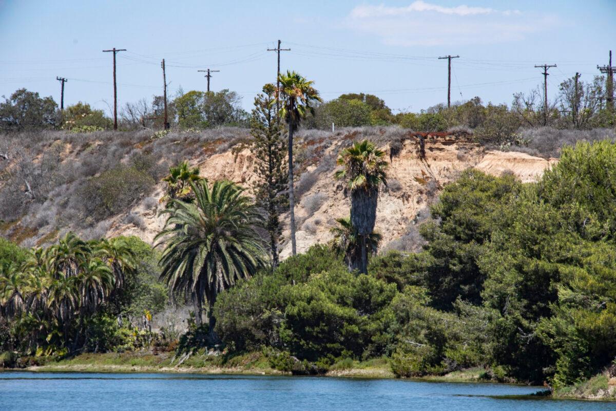 The Banning Ranch property area, seen from Newport Beach, Calif., on Aug. 9, 2021. (John Fredricks/The Epoch Times)