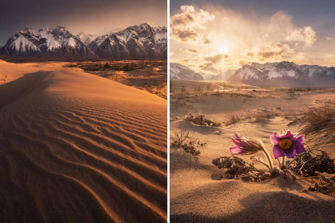 Traveler Photographs Surreal Siberian Desert Bordered by Ice-Capped Mountains, Lakes, and Forests