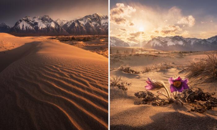 Traveler Photographs Surreal Siberian Desert Bordered by Ice-Capped Mountains, Lakes, and Forests