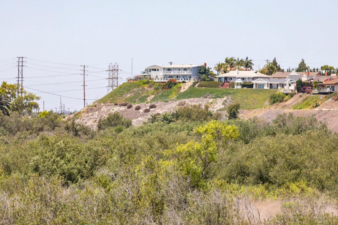 State Agency Grants $11.5 Million for Buying Coastal Wetland in Newport Beach
