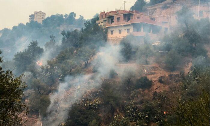 Death Toll From Algeria Forest Fires Rises to 42