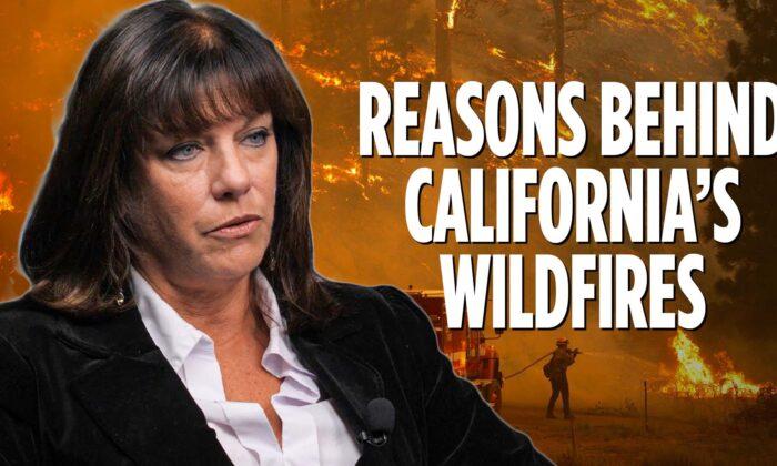 The Reasons Behind California’s Wildfire | Lacy Schoen