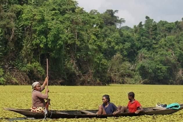 Saving a Cameroonian Lake From an Invasive Plant