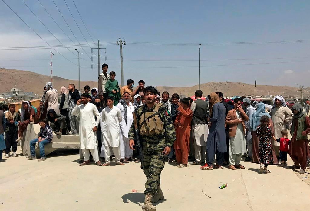 Diplomats, Troops and Refugees Arrive in Canada as Flights Resume From Afghanistan
