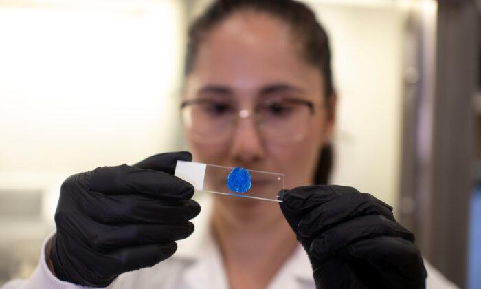 Cancer Patients’ Own Cells Used in 3D Printed Tumors to Test Treatments