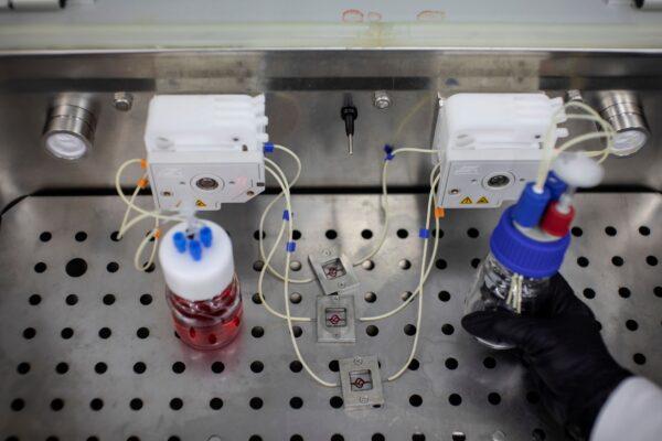 Blood analog is pumped through vessel-like tubes for use in a 3D model of a tumor, as part of a brain cancer research that uses patients' cells to make 3D printed models of tumors, at Tel Aviv University, Israel, on Aug. 17, 2021. (Nir Elias/Reuters)