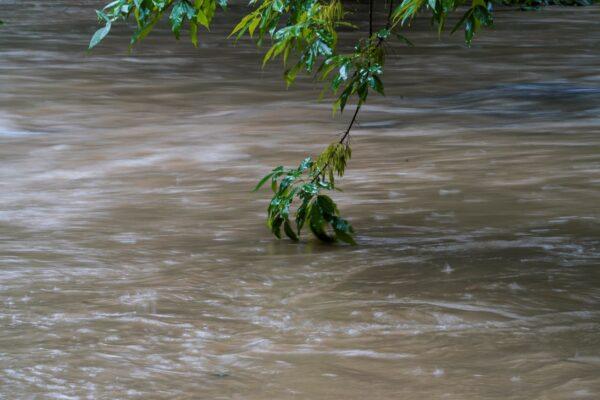 Water rises in Peachtree Creek near Atlanta, Ga., on Aug. 17, 2021. (Brynn Anderson/AP Photo)