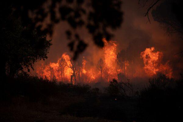 A fire rages near Le Luc, southern France, on Aug. 17, 2021. (Daniel Cole/AP Photo)