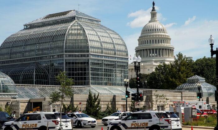 North Carolina Man Pleads Not Guilty to US Capitol Bomb Threat Charges