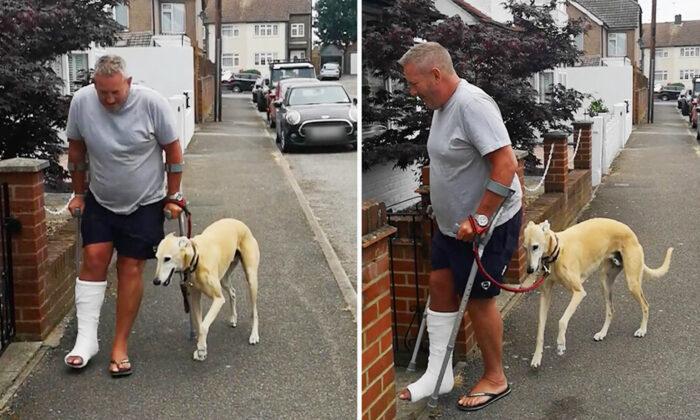 Video of Dog Suspiciously Limping Beside Owner in Crutches Who Broke His Ankle Goes Viral