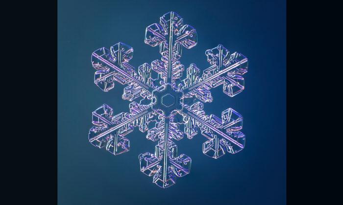 Macro Photographer Snaps Exquisite Crystalline Snowflakes Using Special Camera He Built Himself