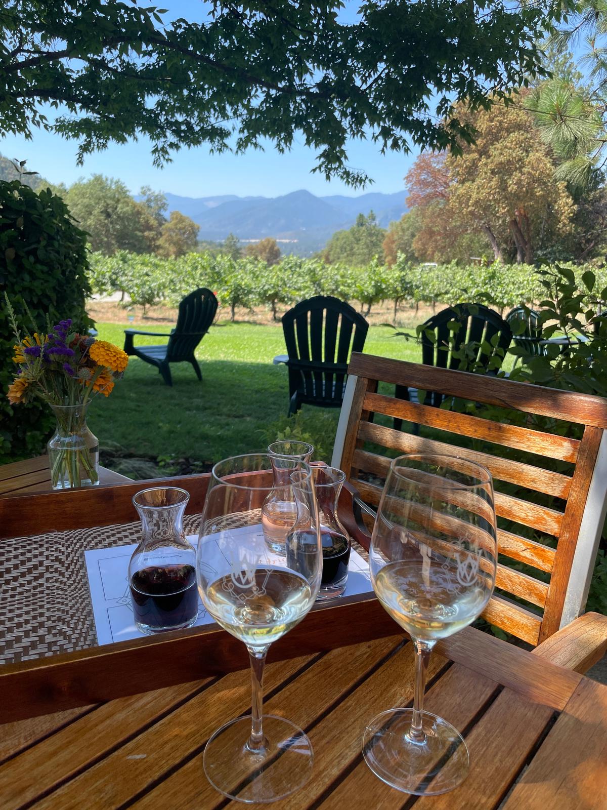 The lush view from a wine tasing table at Wooldridge Creek Winery in southern Ore. (Janna Graber)
