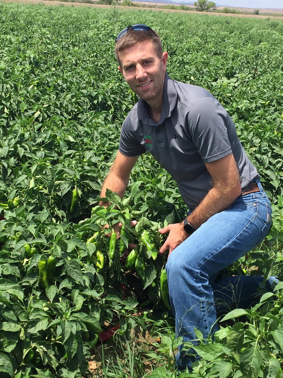 Preston Mitchell stands in a field of Charger chiles. His company, The Hatch Chile Store, ships Hatch chiles and chile products across the country and around the world. (Eric Lucas)