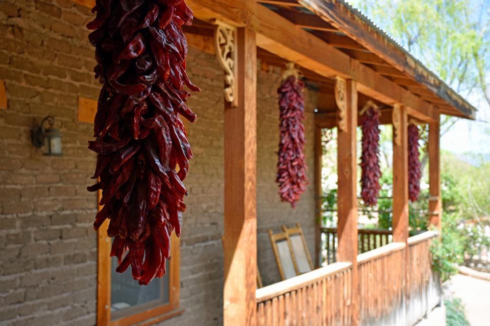 Some chiles are ripened and dried to make ristras. (KevinCupp/Shutterstock)