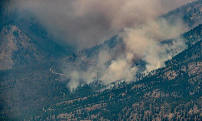 Number of Wildfires Burning in B.C. Down Slightly From a Week Ago