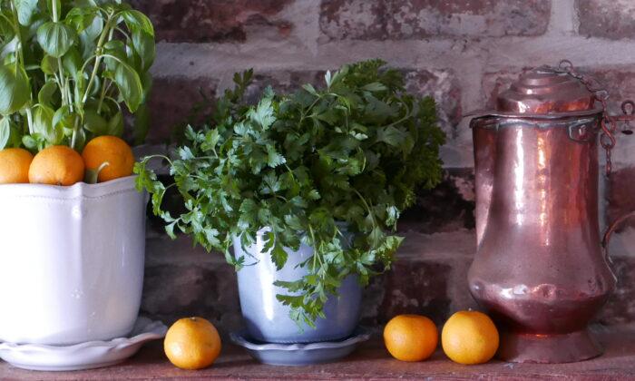 Brighten Every Meal With Fresh Herbs