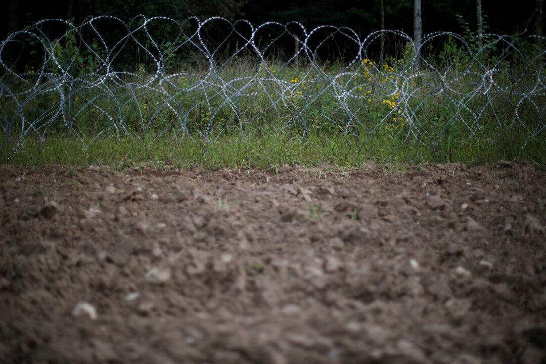 UN Refugee Agency Pressures Poland to Help Illegal Immigrants on Belarus Border