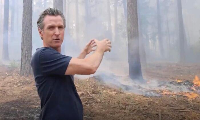 Newsom Champions Forest Management to Contain California’s Wildfires
