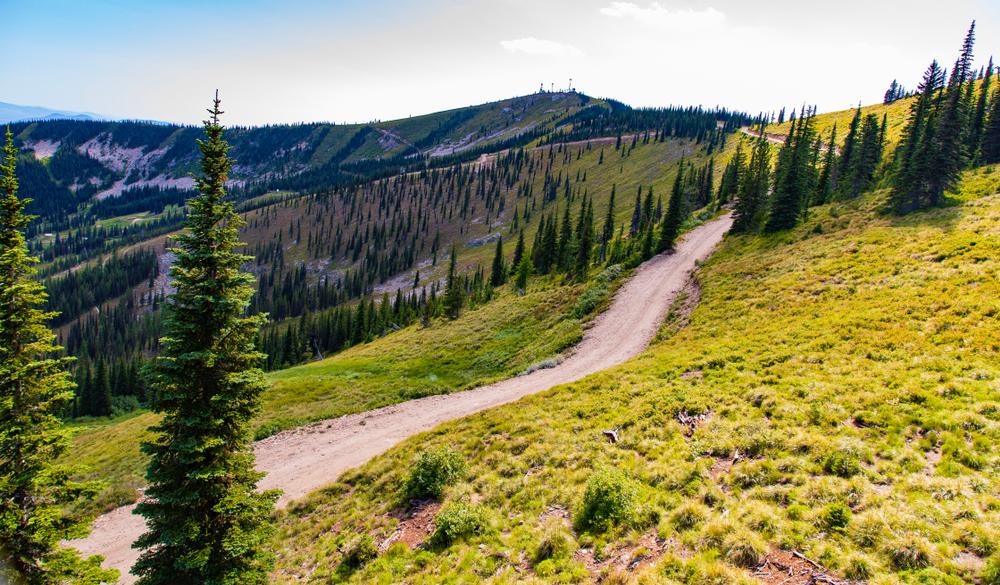 A trail on Schweitzer Mountain. (James Sakaguchi/Shutterstock)