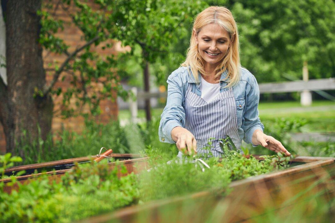 How to Regrow Your Favorite Herbs and Save Lots of Money