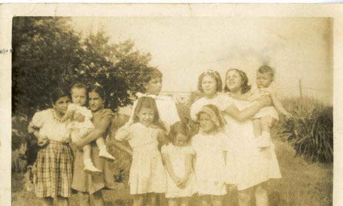 The Family Table: Summer Memories of an Italian-American Jersey Farm Girl