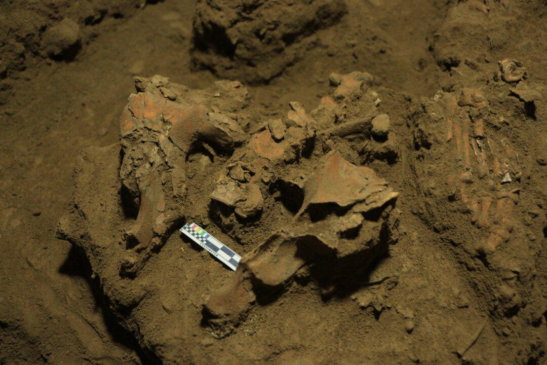Discovery of 7,000-Year-Old Remains Unravels Mystery of Unknown Group of Humans