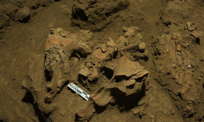 Discovery of 7,000-Year-Old Remains Unravels Mystery of Unknown Group of Humans