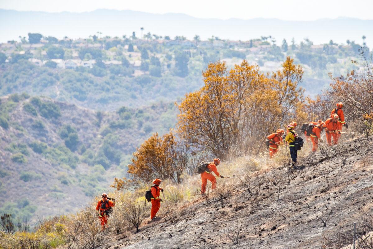 Firefighters work together to extinguish the remnants of a brush fire that broke out on Highway 73 in Laguna Beach, Calif., on June 17, 2021. (John Fredricks/The Epoch Times)