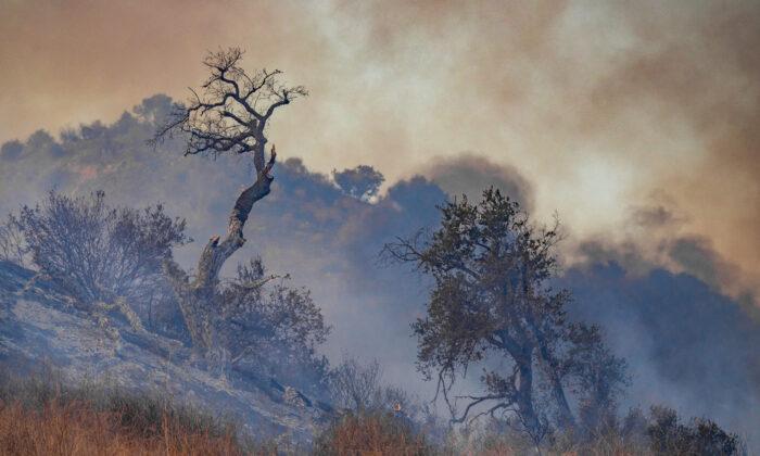 County Supervisors Blame Bad Policies—Not Climate Change—for California Wildfires