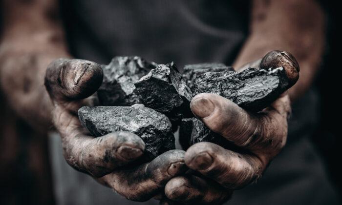 Coal’s Resurgence: Futures Rally to Fresh Record Highs