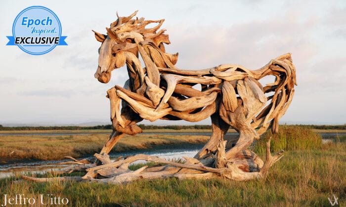 Artist Sculpts Stunning Leonardo-esque Horse out of Twisted Driftwood From the Ocean