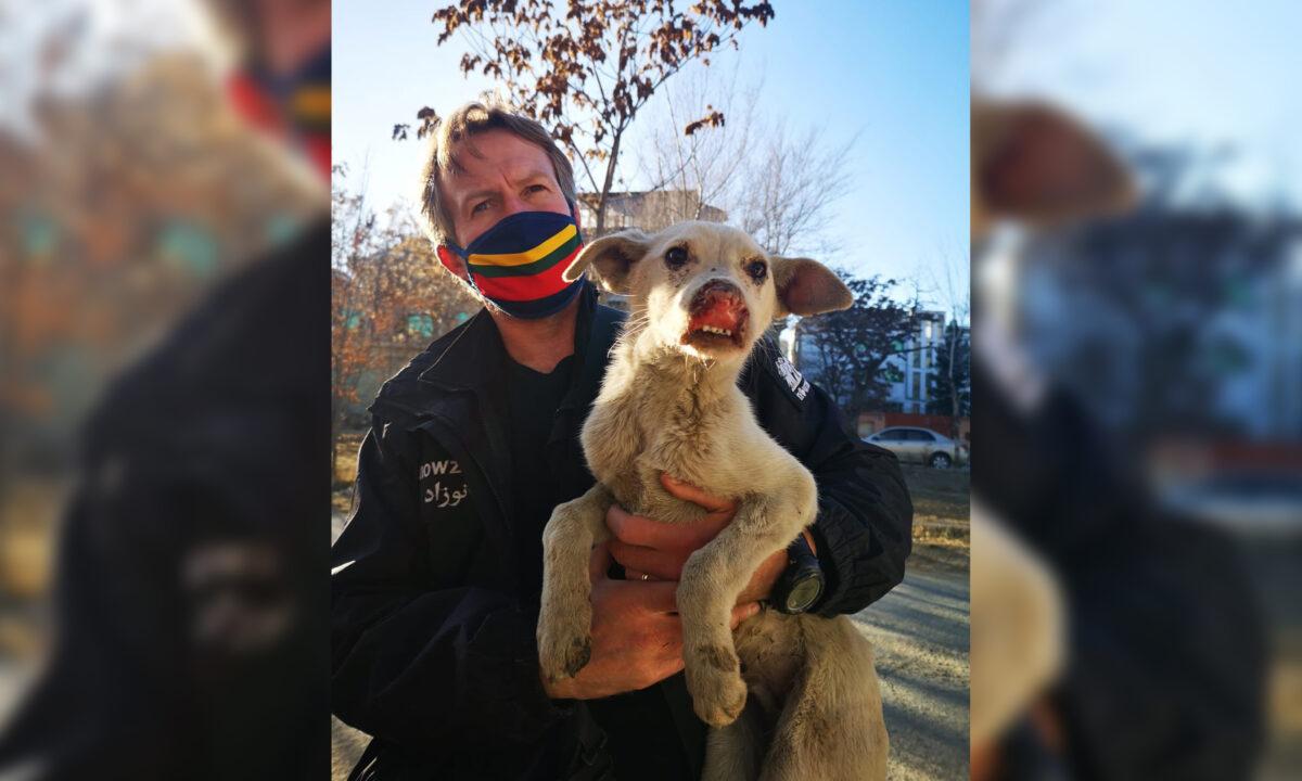 Undated photo of Pen Farthing, founder of animal rescue charity Nowzad. (Nowzad/Handout via PA)