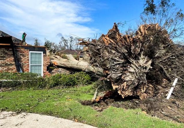 A tree smashed into a house during Hurricane Ida on Aug. 29, in St John Parish, La., on Aug. 31, 2021. (Charlotte Cuthbertson/The Epoch Times)