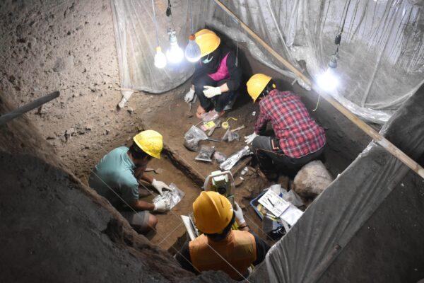 Excavations at Leang Panninge cave. (Supplied, Leang Panninge research project)
