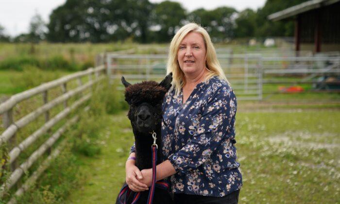 Geronimo the Alpaca Is Put Down, Ending High-Profile Legal Fight With UK Authorities