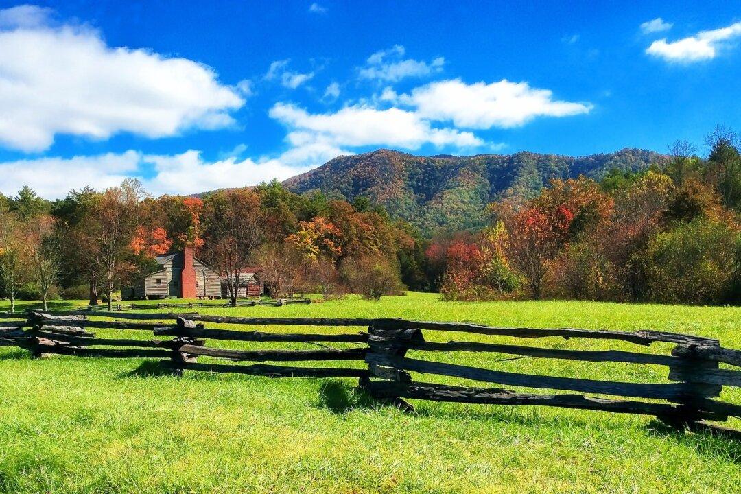 Private Property: The Indispensable Key to Political Freedom, Social Cooperation, and Economic Progress