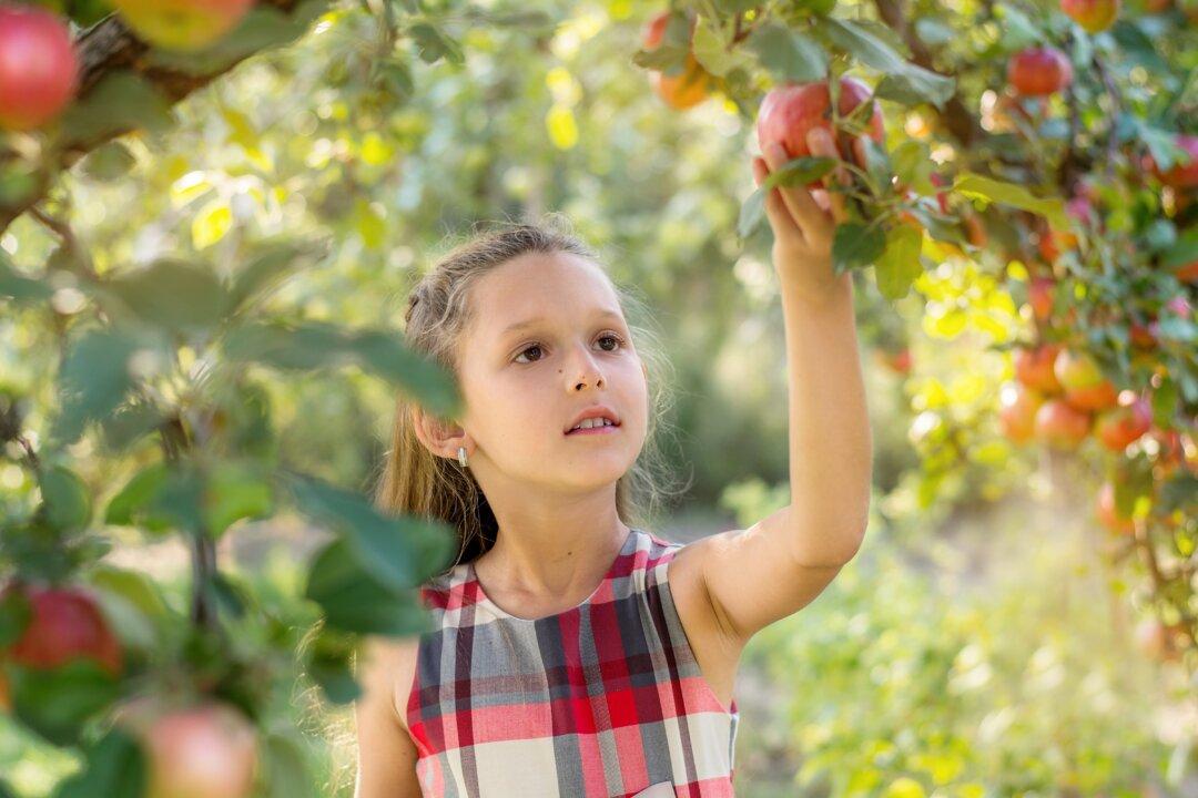 Healthiest Produce That’s in Season