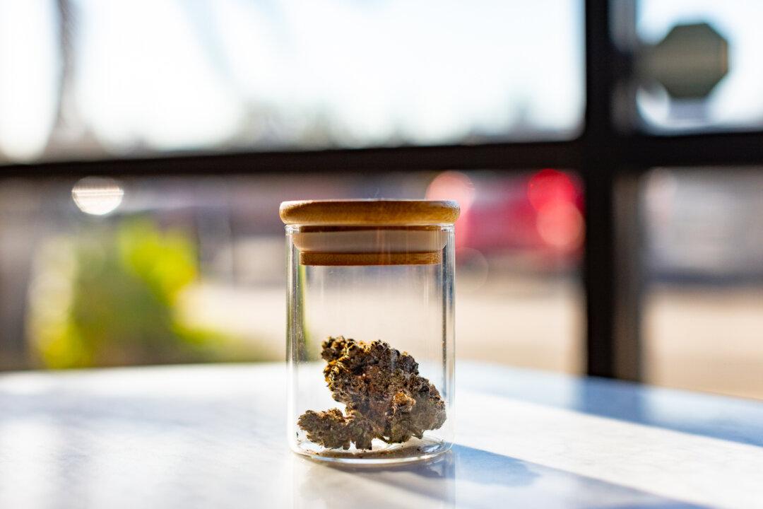 California Shuts Down Most of Its Legal Cannabis Testing Labs for Noncompliance With New Laws