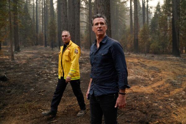 California Gov. Gavin Newsom and Cal Fire Chief Thom Porter tour the area scorched by the Caldor Fire in Eldorado National Forest, Calif., on Sept. 1, 2021. (AP Photo/Jae C. Hong)