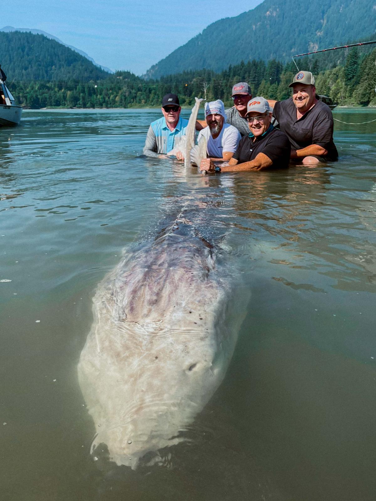 Kevin Estrada (L) and company pose with the monster sturgeon in the Fraser River Aug. 15. (Courtesy of <a href="http://www.sturgeonslayers.com/">Sturgeon Slayers</a>)