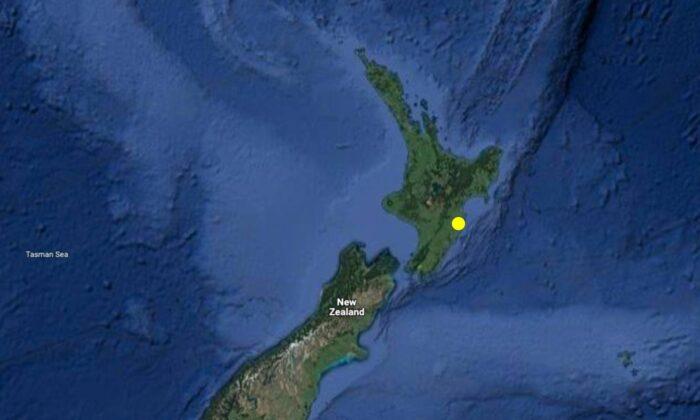 Major 4.9 Magnitude Earthquake Shakes New Zealand