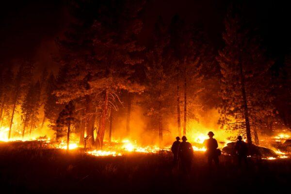 A firefighter lights a backfire to stop the Caldor Fire from spreading near South Lake Tahoe, Calif., on Sept. 1, 2021. (Jae C. Hong/AP Photo)