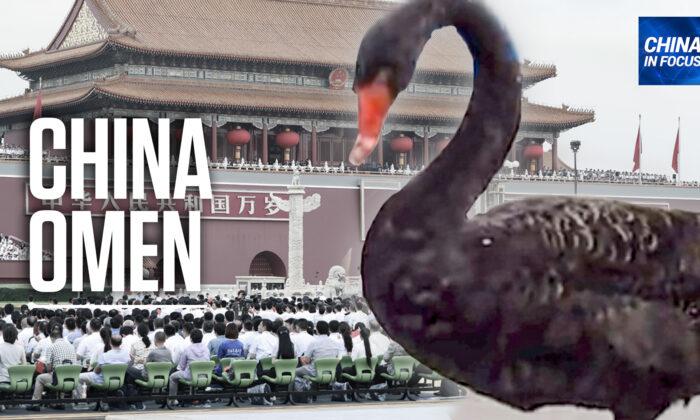 Black Swan Visits Beijing’s Tiananmen Square