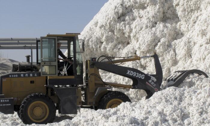 Cotton Prices Surge to Highest Levels in a Decade