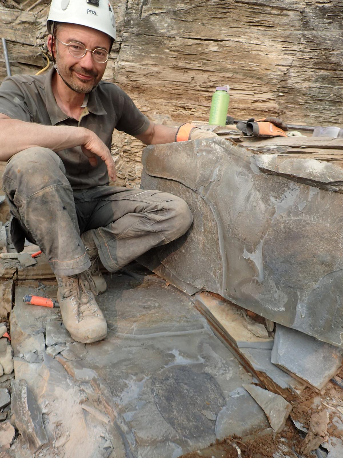  Dr. Jean-Bernard Caron, curator of invertebrate paleontology at the Royal Ontario Museum with a fossil of Titanokorys gainesi at the quarry site located in Kootenay National Park. (SWNS)