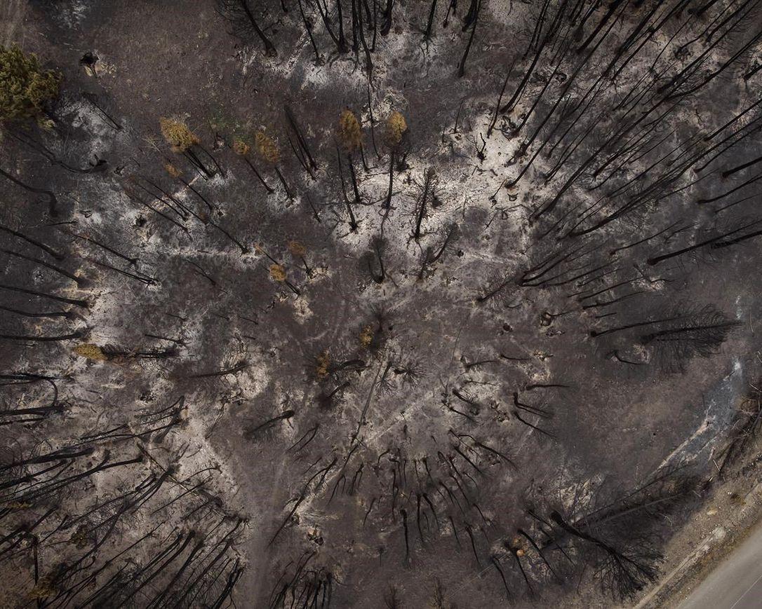 British Columbia to End State of Emergency Caused by Wildfires on Tuesday Night