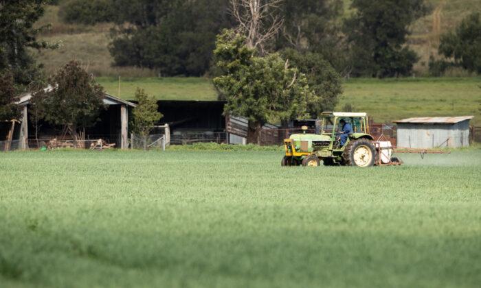 Western Australia’s Safety Authority Launches Inquiry Following 12th Fatality in Agriculture Sector