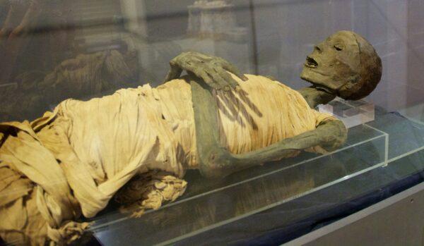 The mummy of an upper-class male from the New Kingdom Period of 1549–1064 B.C. (Courtesy of Karen Gough)